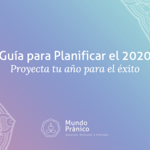 guia_planificar_2020