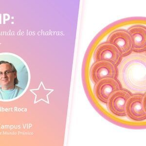 Chakras pétalo a pétalo