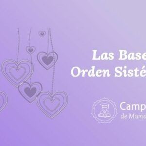 Bases Sistémicas Del Orden