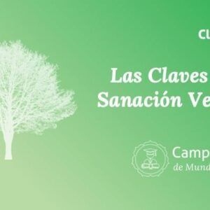 Las Claves De La Sanación Vegetal