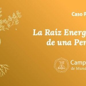 Raíz Energética