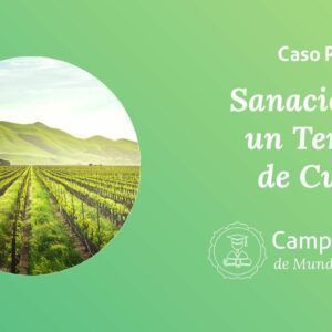 sanación de terrenos