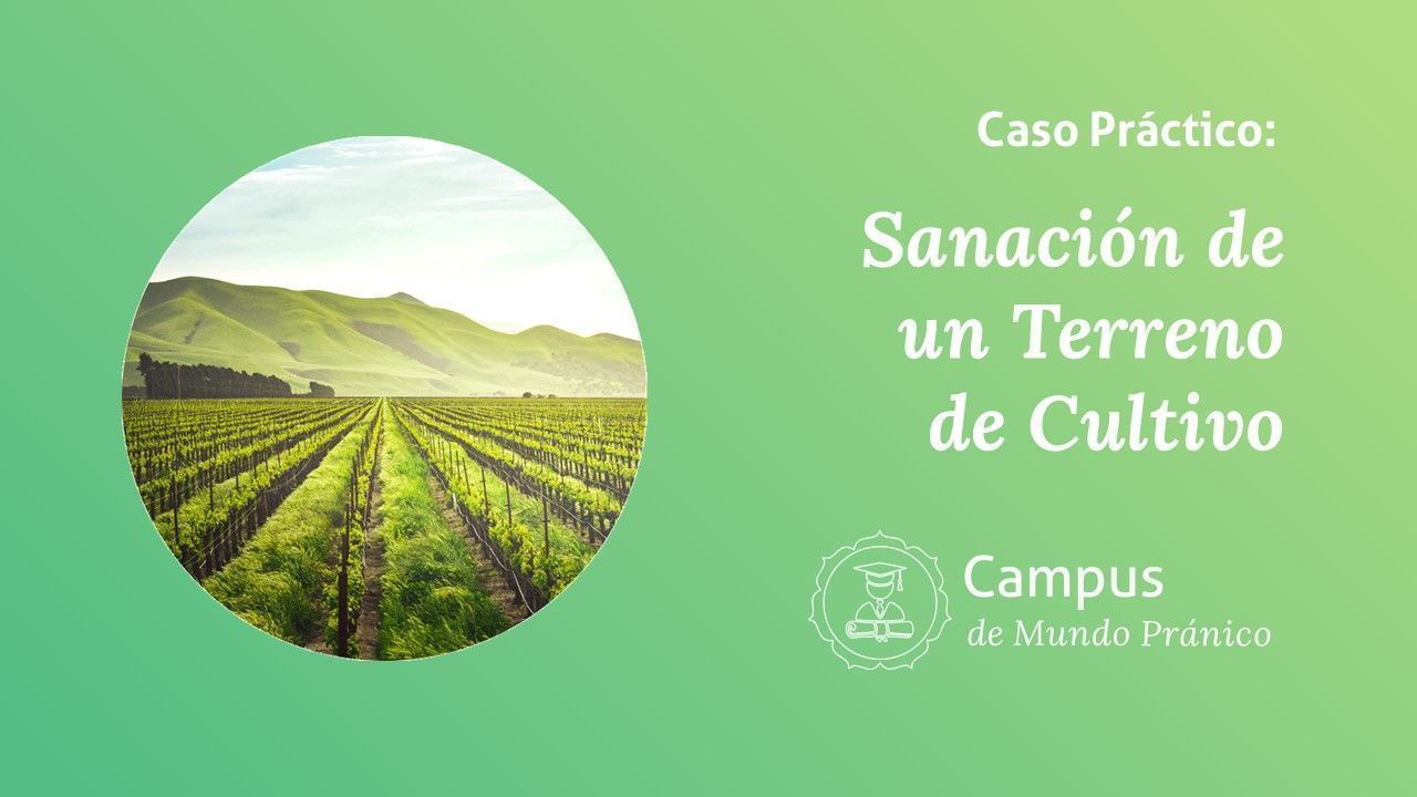 sanación de terrenos