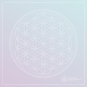 Curso de geometría en la SEM