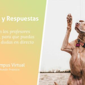 preguntasMarzo2020