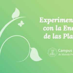 energía de las plantas