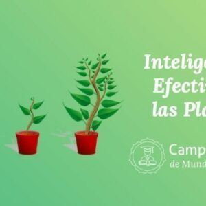 Inteligencia efectiva Plantas
