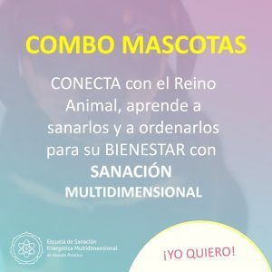 Combo mascotas
